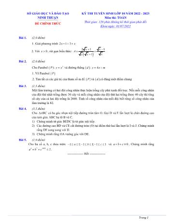 Đề thi tuyển sinh Lớp 10 năm 2022-2023 môn Toán - SGD&ĐT Ninh Thuận (Có đáp án)