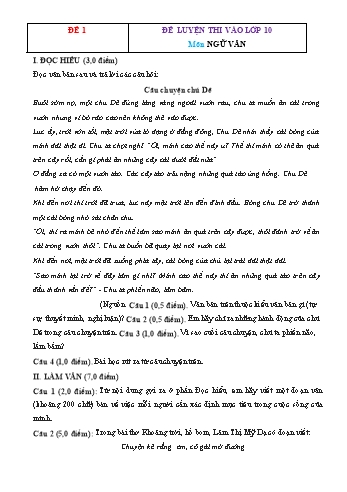 20 Đề luyện thi vào Khối 10 môn Ngữ văn (Có đáp án)