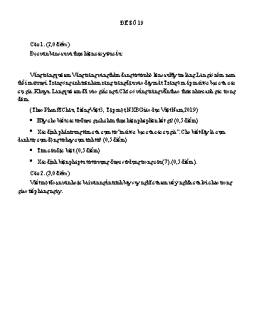 Đề đọc hiểu ôn thi vào Lớp 10 môn Ngữ văn - Đề số 19 (Có đáp án)