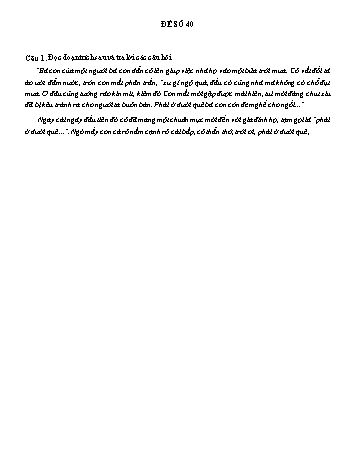 Đề đọc hiểu ôn thi vào Lớp 10 môn Ngữ văn - Đề số 40 (Có đáp án)