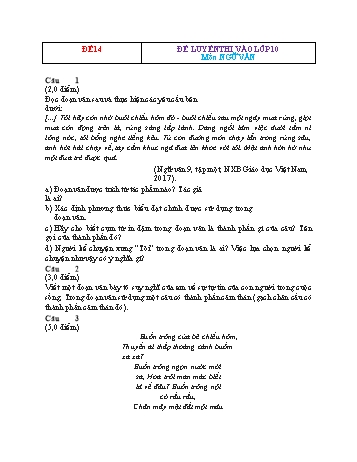 Đề luyện thi vào Lớp 10 môn Ngữ văn - Đề 14 (Có đáp án)