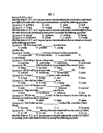 Đề thi tuyển sinh vào Lớp 10 THPT môn Tiếng Anh - Đề 1 (Có hướng dẫn chấm)