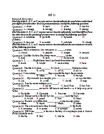 Đề thi tuyển sinh vào Lớp 10 THPT môn Tiếng Anh - Đề 11 (Có hướng dẫn chấm)