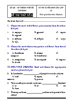 Kỳ thi tuyển sinh vào Lớp 10 môn Tiếng Anh - Đề số 6 - Sở GD&ĐT Hồ Chí Minh (Có đáp án)