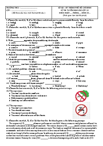 Kỳ thi tuyển sinh vào Lớp 10 môn Tiếng Anh - Sở GD&ĐT Hồ Chí Minh (Có đáp án)