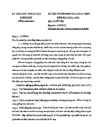 Kỳ thi tuyển sinh vào Lớp 10 THPT Ngữ văn - Năm học 2022-2023 - Sở GD&ĐT Bình Định (Có hướng dẫn chấm)