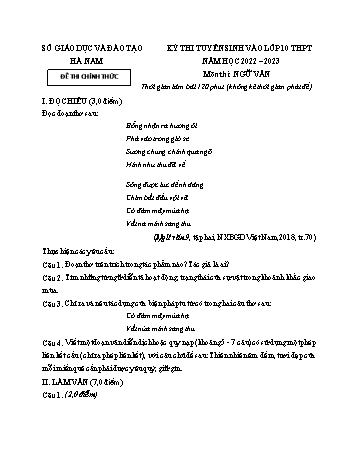 Kỳ thi tuyển sinh vào Lớp 10 THPT Ngữ văn - Năm học 2022-2023 - Sở GD&ĐT Hà Nam (Có hướng dẫn chấm)