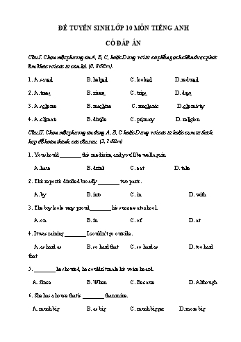 Đề thi tuyển sinh vào Lớp 10 THPT môn Tiếng Anh - Đề số 1 (Có đáp án)