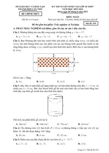 Đề thi tuyển sinh vào Lớp 10 THPT môn Toán - Mã đề 919 - Năm học 2023-2024 - Sở Giáo dục và Đào tạo Thành phố Cần Thơ